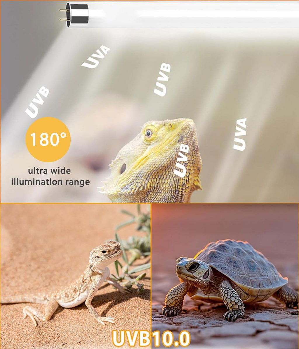3 Pack T5 10.0 UVB Reptile Light Bulb 8W 12 Inch, UVA UVB Lamp for Bearded Dragons, Chameleons, Turtles, Tortoises, Lizards - Desert & Tropical Reptiles