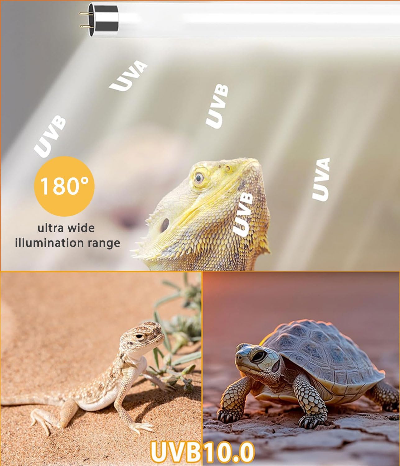 3 Pack T5 10.0 UVB Reptile Light Bulb 8W 12 Inch, UVA UVB Lamp for Bearded Dragons, Chameleons, Turtles, Tortoises, Lizards - Desert & Tropical Reptiles