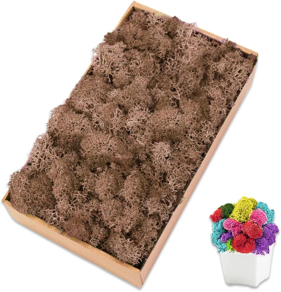 Preserved Reindeer Moss 7 OZ Brown Natural for Crafts, DIY Gift Christmas Decor, Wall Art, Potted Plants, Floral Fake Moss for Easter Table Decor Wedding Decorative(7OZ, Brown)