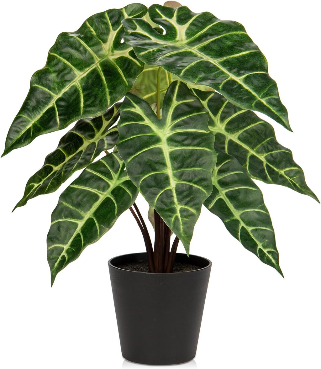 Briful Fake Plant Real Touch Artificial Alocasia Bambino Plant in Black Nursery Pot Faux Alocasia Polly Houseplant for Shelf Tabletop Centerpieces Farmhouse Home Décor, Green Leaves