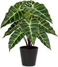 Briful Fake Plant Real Touch Artificial Alocasia Bambino Plant in Black Nursery Pot Faux Alocasia Polly Houseplant for Shelf Tabletop Centerpieces Farmhouse Home Décor, Green Leaves