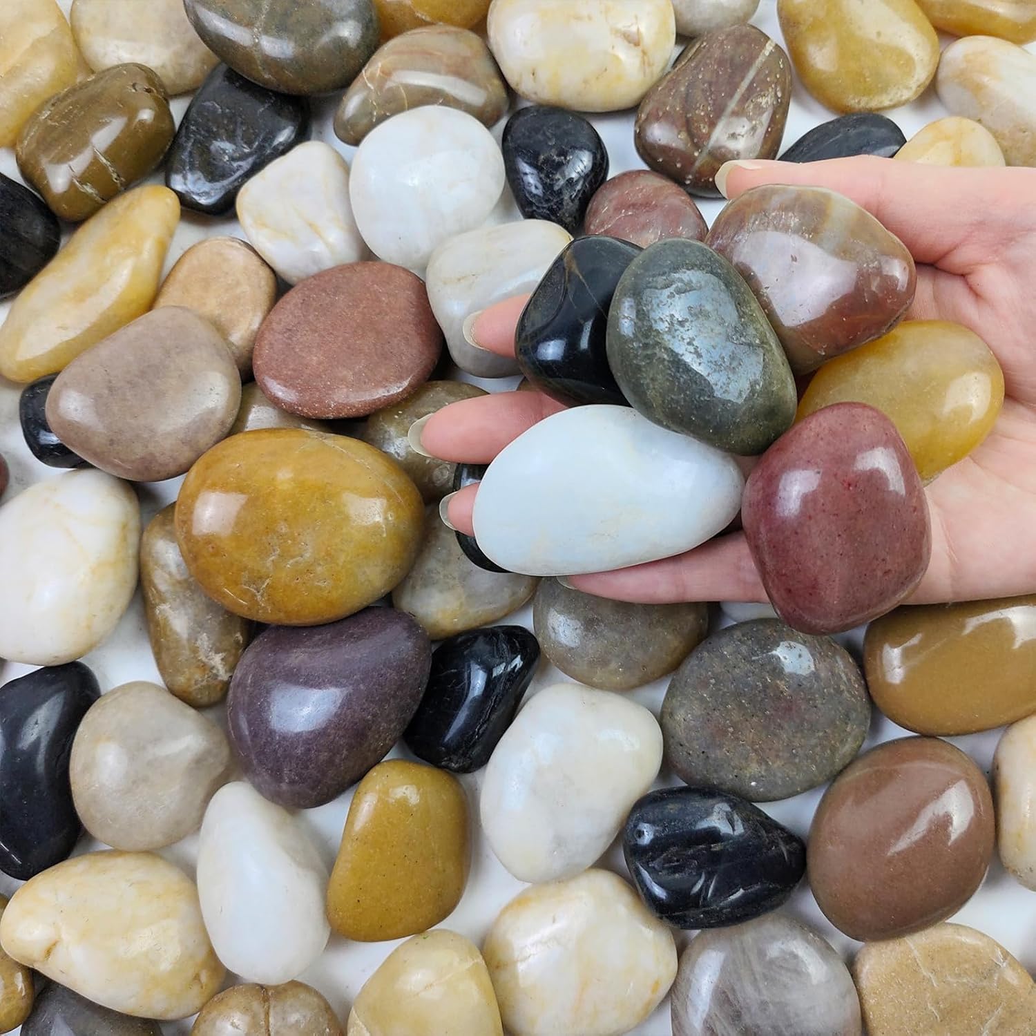 Pebbles for Indoor Plants, Mixed Color Polished River Rocks Decorative Stones for Garden, Aquarium, Vase Fillers, Outdoor Landscaping and Backyard(1-2 inch,40 Pounds)