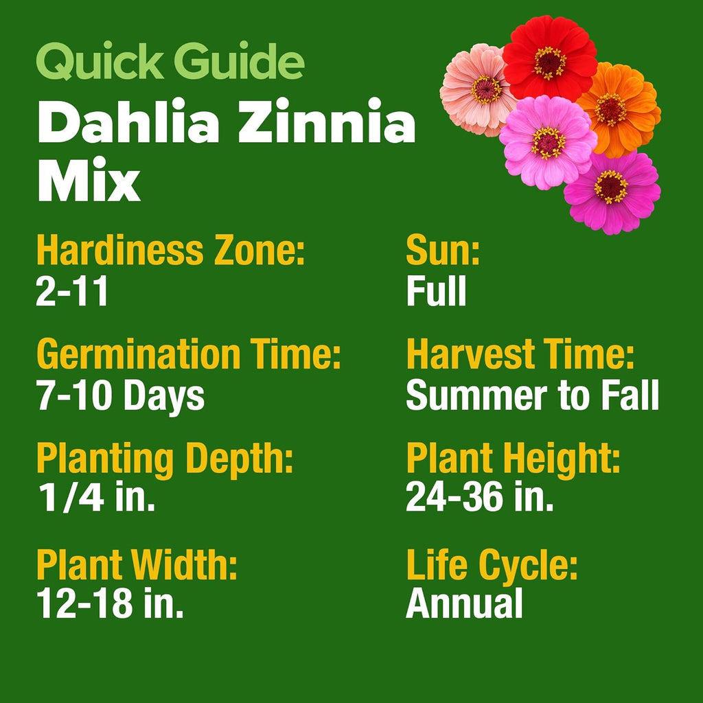 HOME GROWN USA Premium Zinnia Dahlia Seeds Pack for 2026,1048 Non-GMO Flower Seeds, Vibrant Zinnia Elegans for Planting Pollinator Gardens, Borders & Containers, Easy-to-Grow Outdoor Blooms