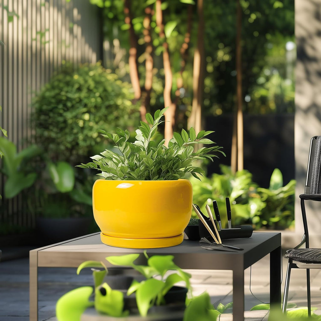 SQOWL 10 Inch Plant Pot - Ceramic Planter with Drainage Hole and Saucer, Modern Large Flower Pot for Indoor Outdoor Plants, Decorative Round Planter, Home Decor, Gifts for Gardeners Woman, Yellow