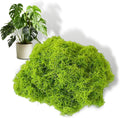 Artificial Faux Moss, 7.05 oz Fake Green Moss for Crafts Preserved, Artificial Moss for DIY Scenery, Fake Moss Decor Decorative Table, Centerpieces Decor, Fairy Garden, Floral Wedding (200g)
