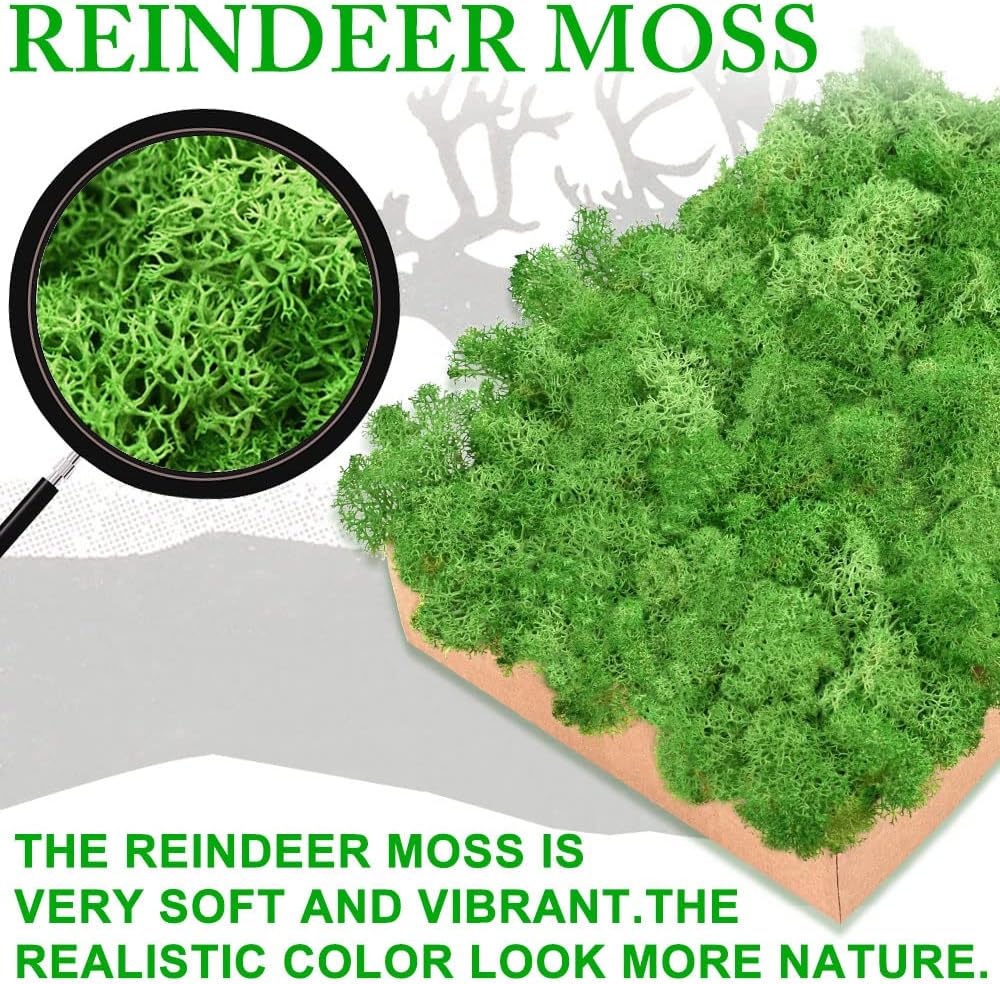 Preserved Moss for Crafts Blue Reindeer Moss for Potted Plants, Craft Decorative Moss Decor for Wall Art, Dried Moss(7oz, Blue)