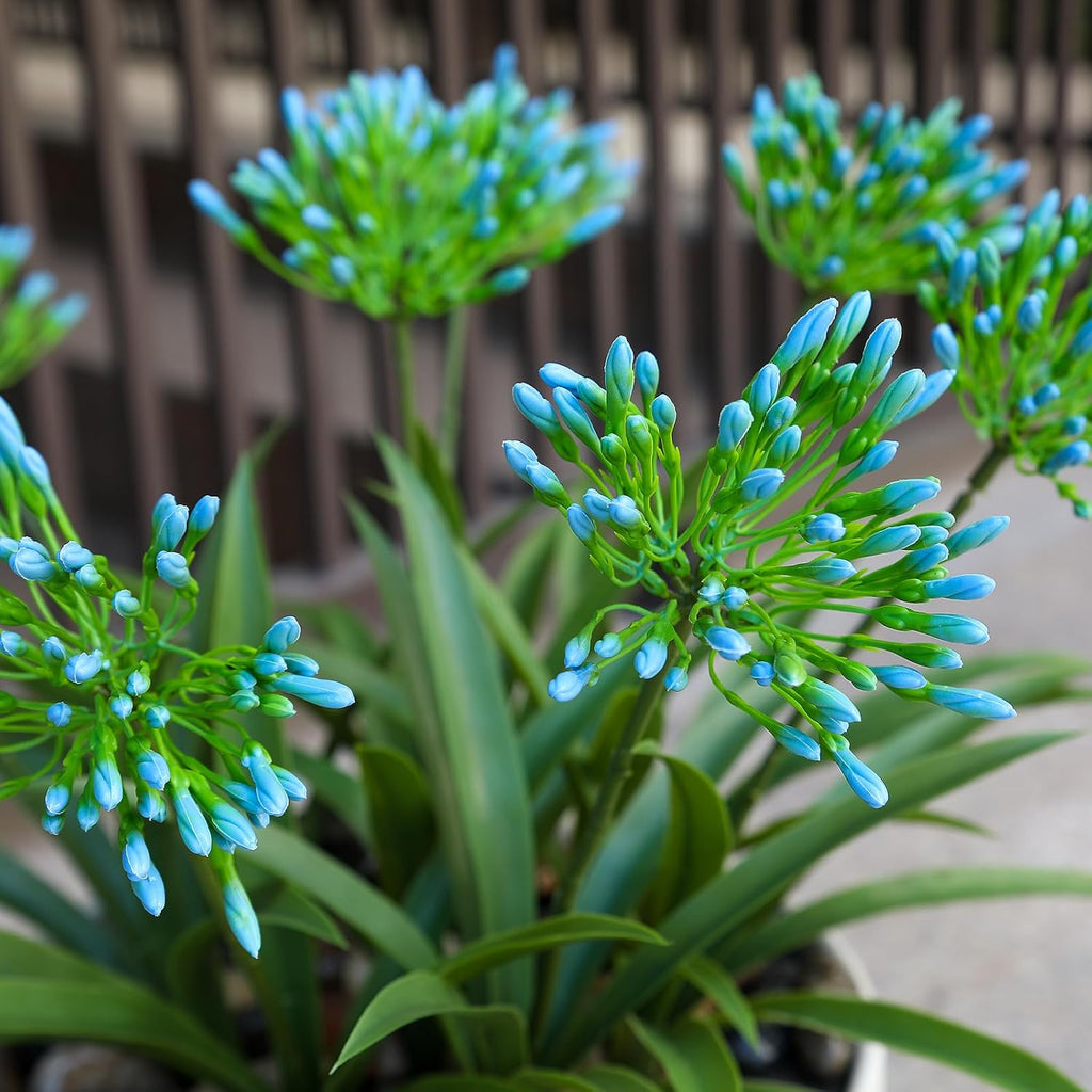 Artificial Agapanthus Africanus Fake African Lily Blue Flowers Fake Plants Outdoor Spring Summer Decoration Realistic Faux Greenery for Front Door Porch Planter Decor