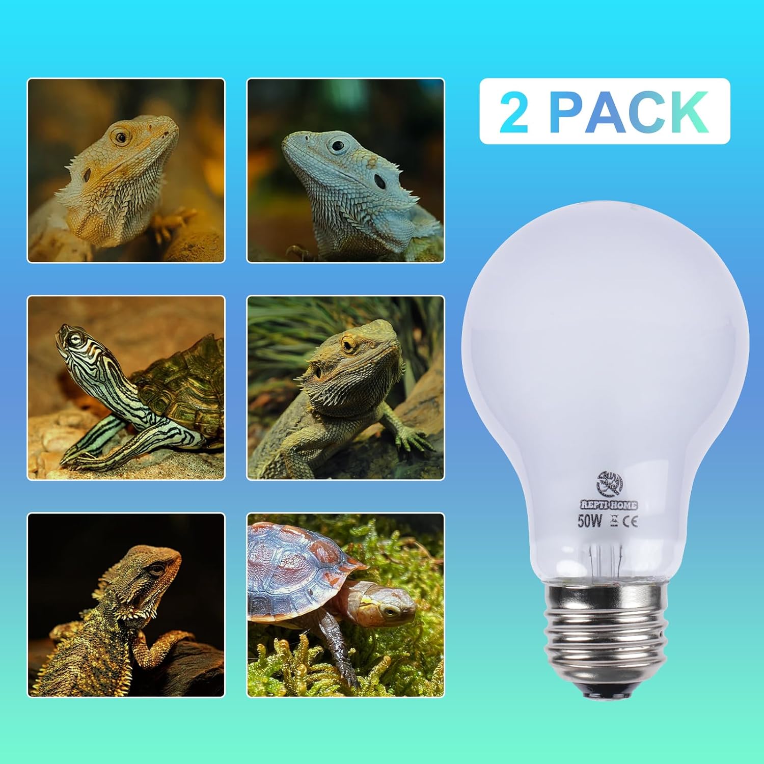 Reptile Heat Lamp 2 Pack 50W, Daylight Heat Bulb for Reptiles & Amphibians, Reptile Heat Light for Bearded Dragon, Lizard, Turtle