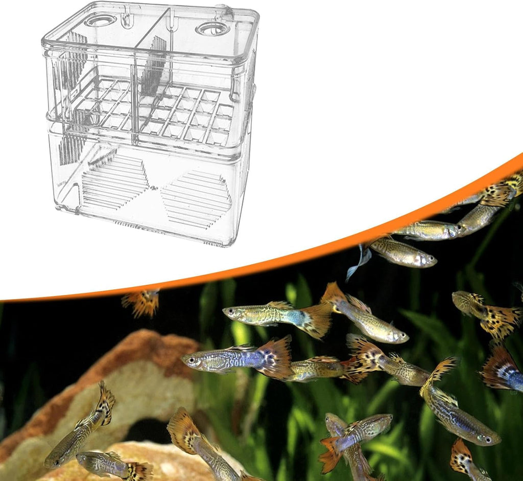 Aquarium Fish Breeder Box Hatching Clear Professional Acrylic Fish Breeding Box for Guppy