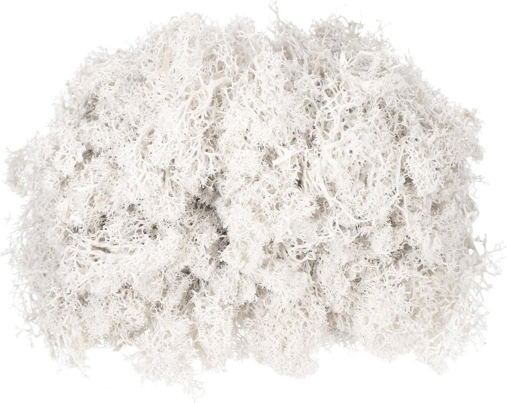 MECCANIXITY 4.6oz Preserved Reindeer Moss, White Decorative Artificial Fake Moss for Potted Plants Indoor Crafts Lichen Centerpieces Decor