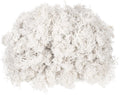 MECCANIXITY 4.6oz Preserved Reindeer Moss, White Decorative Artificial Fake Moss for Potted Plants Indoor Crafts Lichen Centerpieces Decor