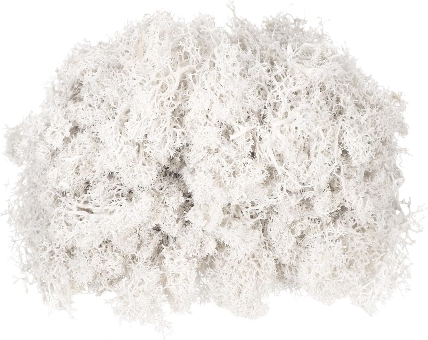 MECCANIXITY 4.6oz Preserved Reindeer Moss, White Decorative Artificial Fake Moss for Potted Plants Indoor Crafts Lichen Centerpieces Decor