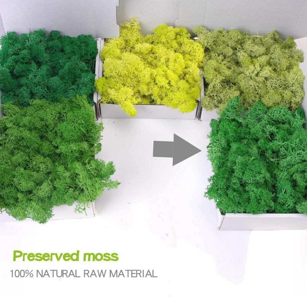 Preserved Moss-3.5 OZ Moss for Crafts Faux Moss Decor Natural Green Moss for Art Wall Florist Decor, Fairy Gardens, Wedding, Floral Project(Leaf Green 3.5 OZ)