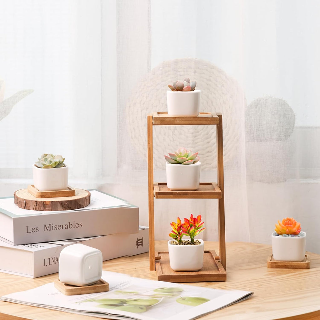 T4U 2 Inch Small White Succulent Planter Pots with Bamboo Tray Square Set of 2, Ceramic Flower Pots Cactus Air PlantContainers,Gardening Plant Gifts for Women, Modern Home and Office Decor
