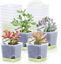 20 Pack 3 Inch Plastic Succulent Pots with Drainage Holes & Saucers, Square Nursery Planters for Indoor Outdoor Plants, Half Clear Flower Pots
