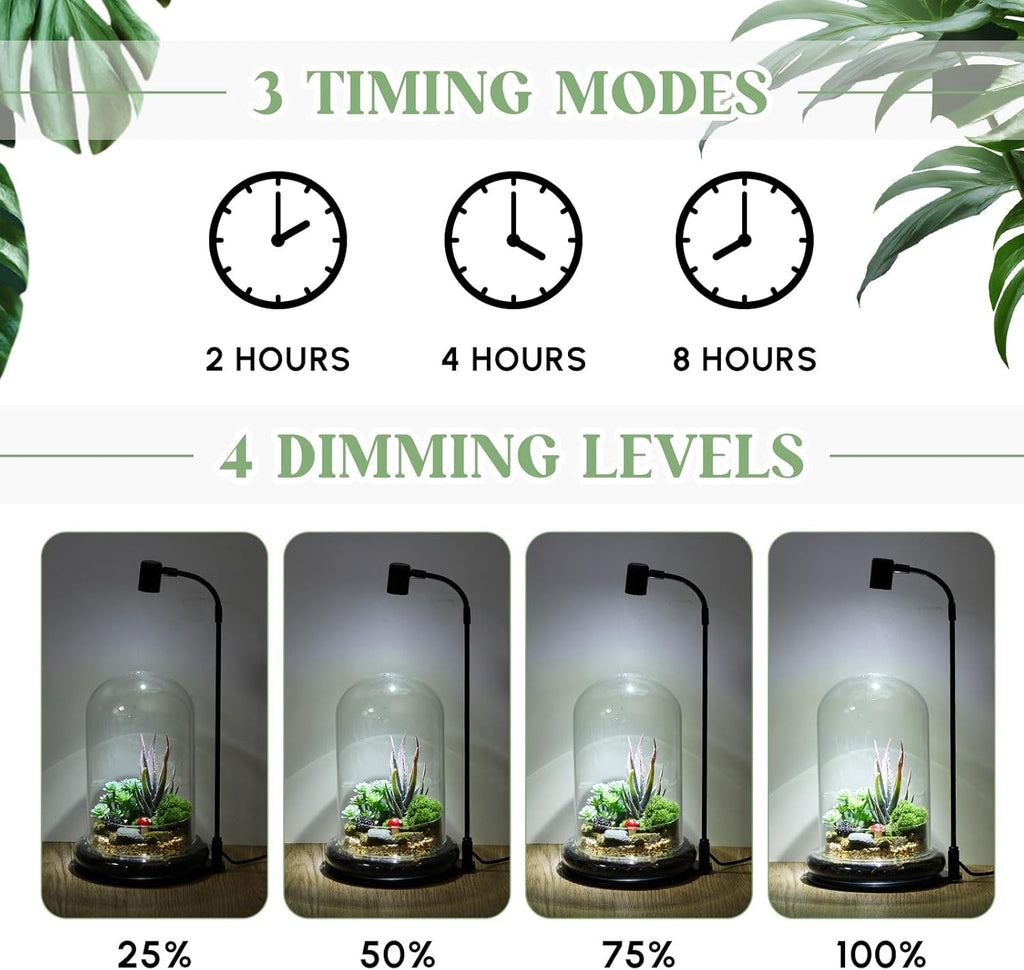 Maxdot Plant Terrarium Kit with Grow Light, 4.8'' x 7.87'' Glass Dome Terrarium with Air Hole and Base, Succulent Air Planter Fern Moss Micro Landscape Vase for Home Office Tabletop Decoration