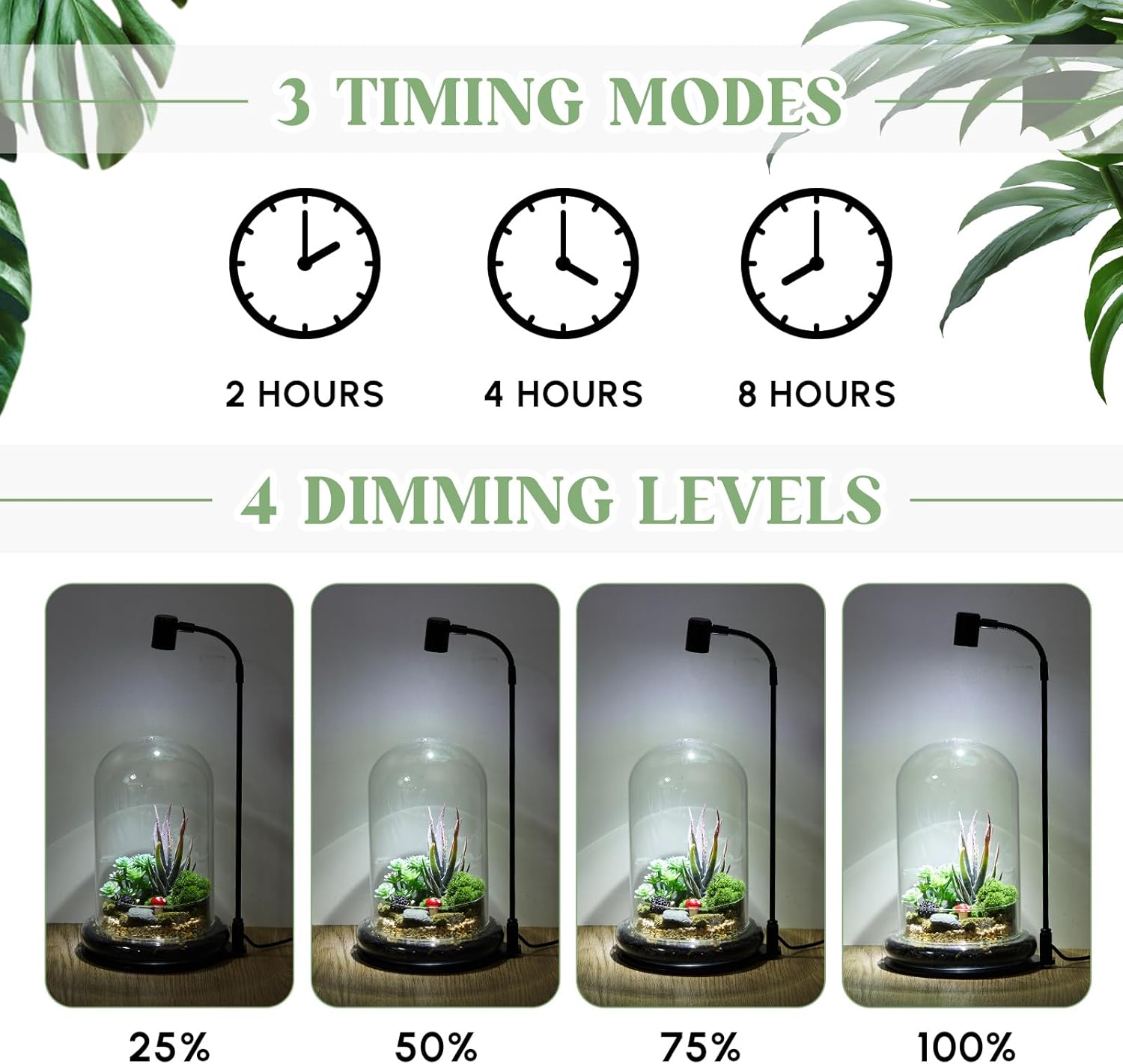 Maxdot Plant Terrarium Kit with Grow Light, 4.8'' x 7.87'' Glass Dome Terrarium with Air Hole and Base, Succulent Air Planter Fern Moss Micro Landscape Vase for Home Office Tabletop Decoration