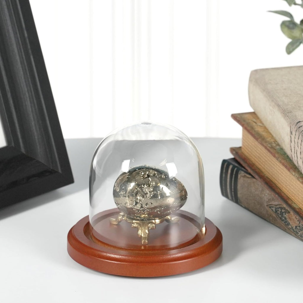 Plymor 3" x 3" Glass Display Dome Cloche (Walnut Base)