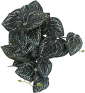 IBWell Fake Reptile Plants for Reptile Terrarium Plants, Reptile Plant Décor, Turtle Tank Plants with Suction Cup