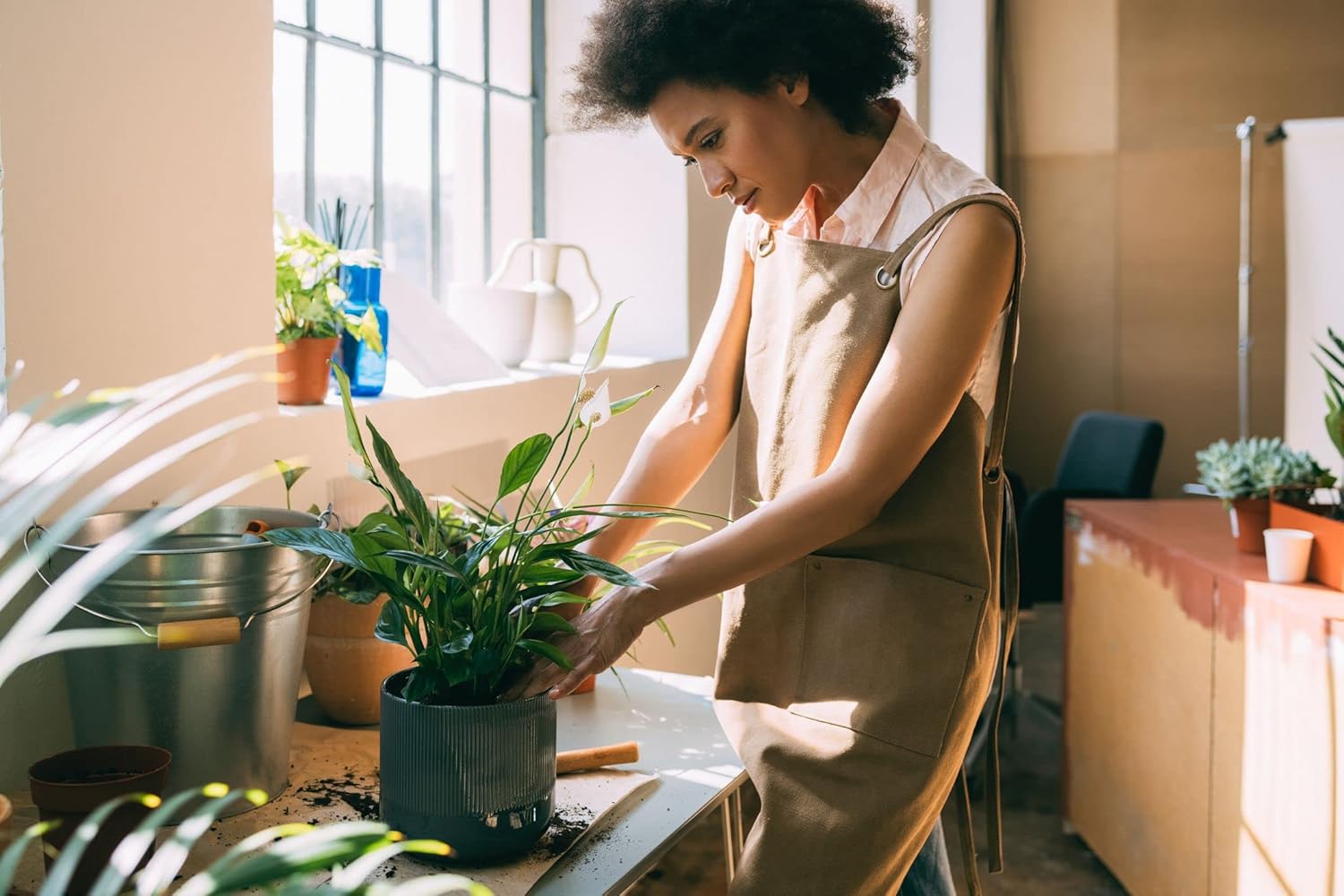 Gardenera's Professional Grade Potting Mix for Peace Lilies : The Perfect Growing Environment for Your Indoor Plants [2-Quart Bag]