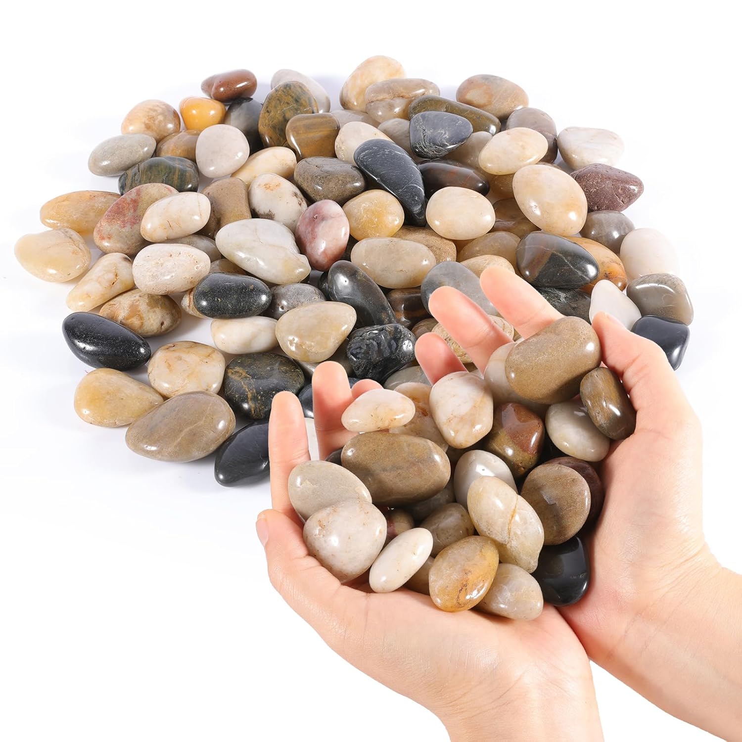 River Rocks Decorative Pebbles - 10lb Mixed Color Polished Gravel for Garden Landscaping, Indoor Plants, Aquariums, Succulents, Vases, Fish Tank, Outdoor Flower Beds 0.4-1.2 Inch Ornamental Stones