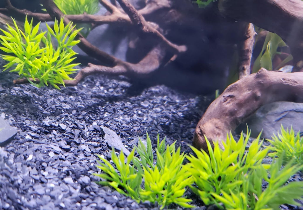 Small World Slate & Stone Aquarium Gravel - Natural Coarse Sand Substrate for Aquascaping Planted, Freshwater and Saltwater Tanks - Gravel Size Approx. 1/32" to 1/8" (6 lbs)