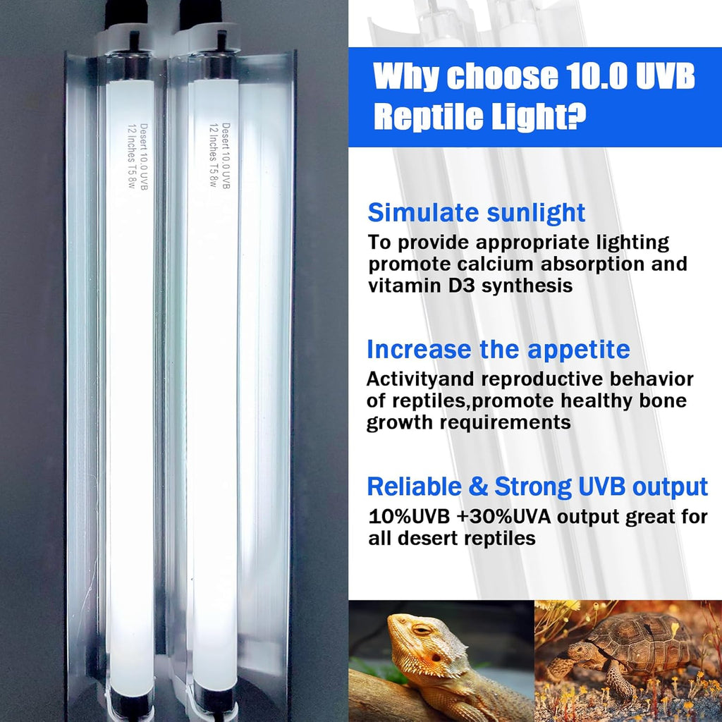 T5 Reptile Light Fixture Combo Kit 16 Watts, 12 Inches UVB Light 2x8 Watt, T5 10.0 UVB Reptile Light Fixture, Desert Reptile Light for Lizard, Bearded Dragon, Tortoise