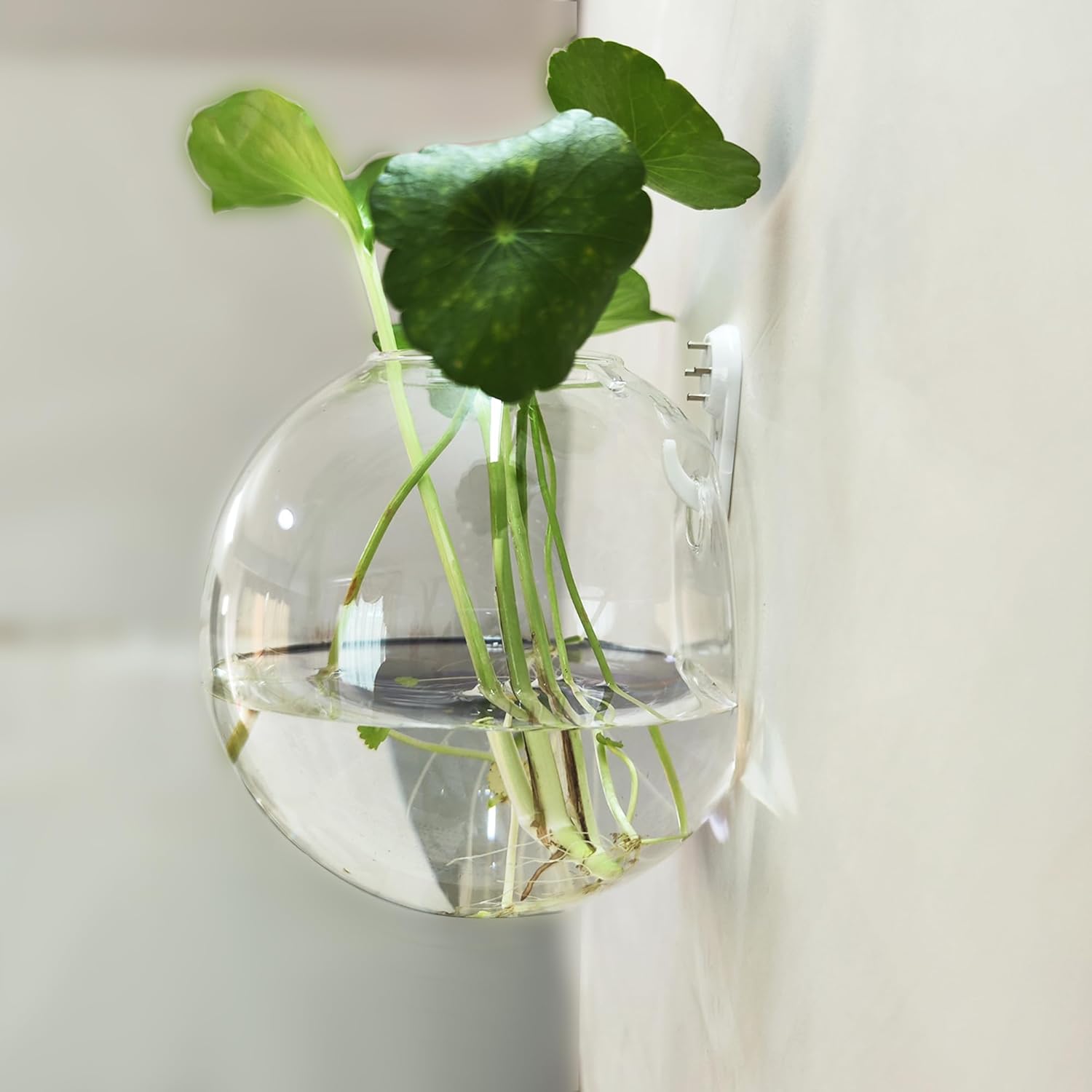 6 Pack Hanging Wall Vases, Glass Hainging Planter Propagation Station Terrarium, 4.7" Globe Wall Planters for Indoor Plants,Home Decor