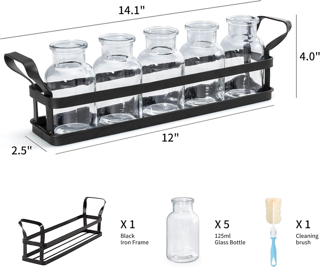 Mkono Propagation Stations with Metal Stand, Desktop Plant Terrarium Glass Planter Vase for Hydroponic Plants Flower Cutting Home Office Garden Decor Plant Lover Gifts, 5 Jars