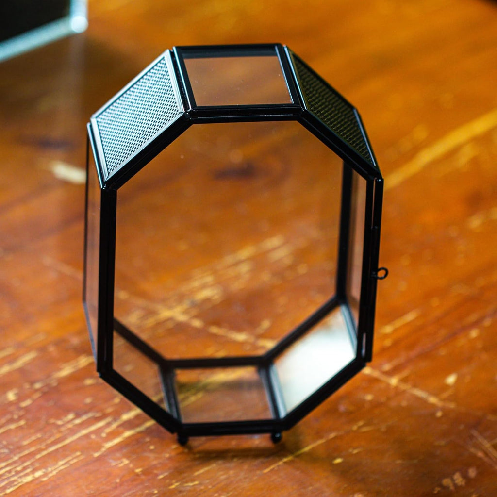 NCYP Mini Glass Terrarium with Vent and Door for Succulents Plants, Jumping Spiders, Insect - Octagon Small Closed Geometric Enclosure, Black Indoor Tabletop Decor, 5 x 2.3 x 7 Inches (Terrarium Only)