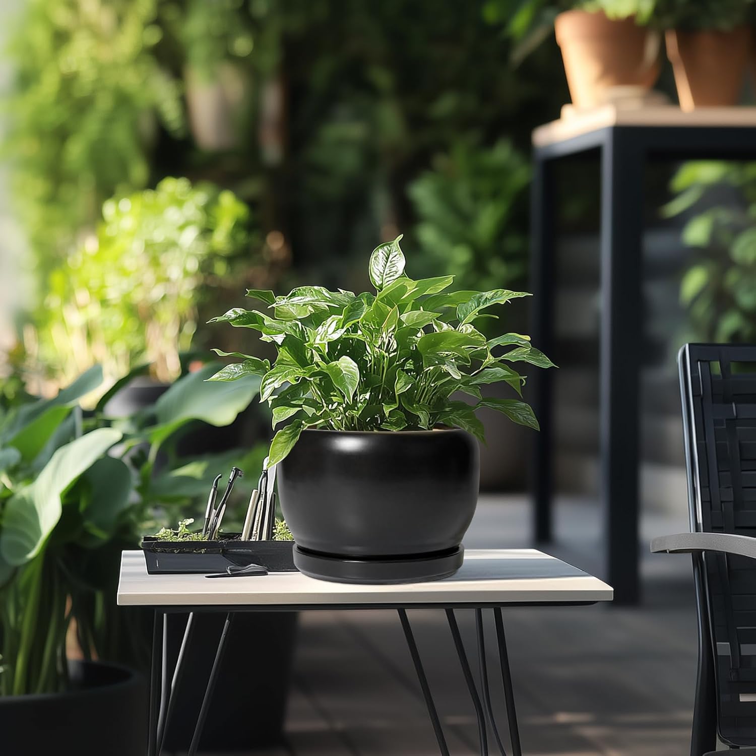SQOWL Ceramic Plant Pots - 8 Inch Planter Indoor, Round Flower Pot with Drainage Hole and Saucer, Modern Outdoor Planter, Apartment Decor, Gifts for Plant Lovers, Black