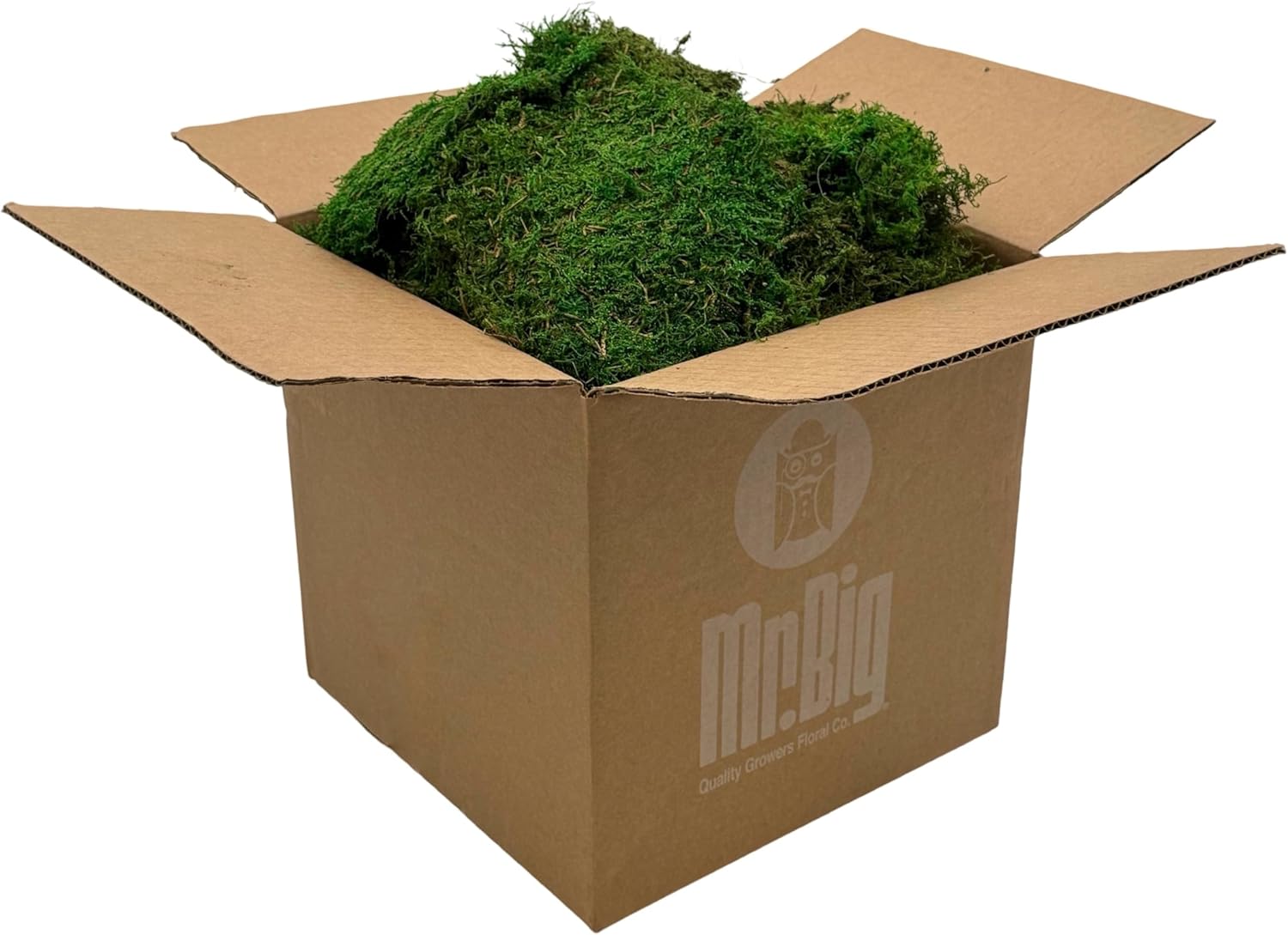 Preserved Sheet Moss - Natural Decorative Moss - Dried Moss for Crafts, Home Decor, Art, Design & DIY Projects - Non-Toxic - Green - Standard Box - Covers 5-7 sq. ft.