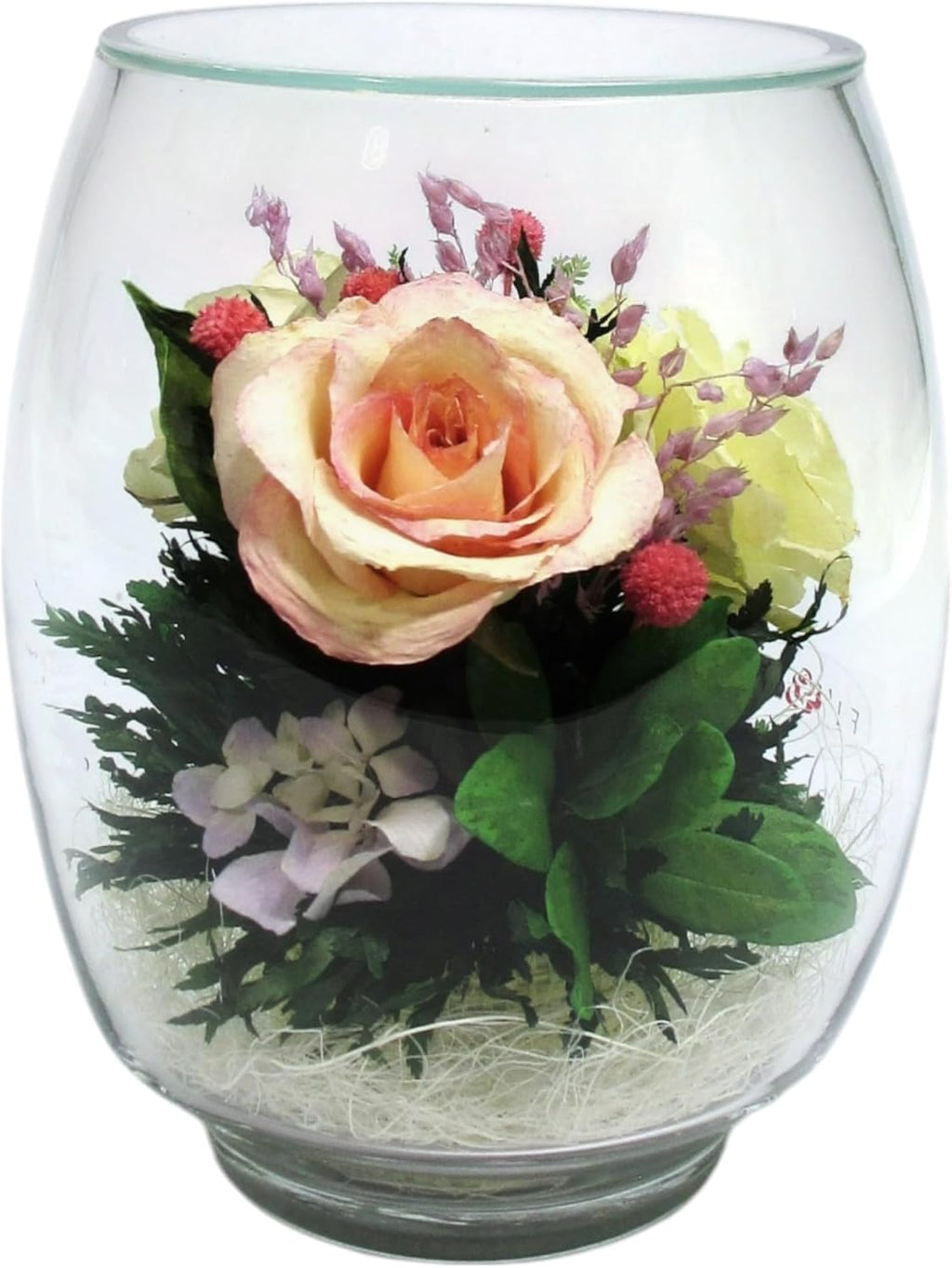 Fiora Flower | Preserved Roses & Floral Arrangement in Sealed Glass Vase | Lasts up to 5 Years | Elegant Gift for Weddings, Birthdays, and Anniversaries (Ivory)