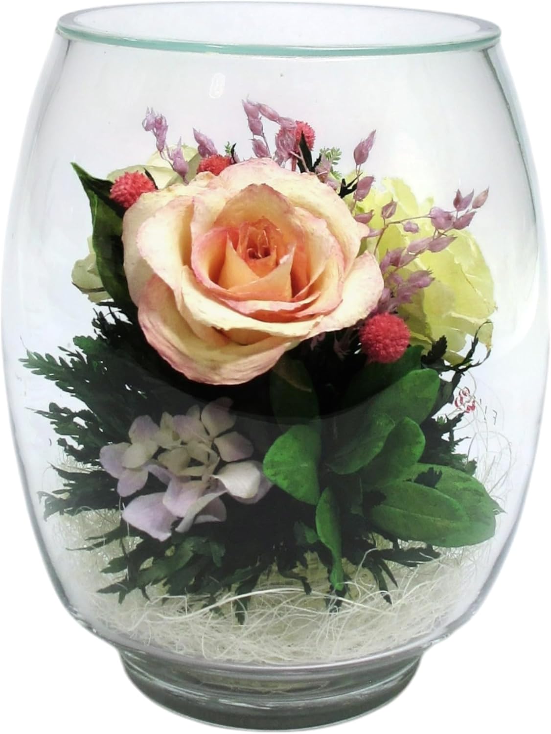 Fiora Flower | Preserved Roses & Floral Arrangement in Sealed Glass Vase | Lasts up to 5 Years | Elegant Gift for Weddings, Birthdays, and Anniversaries (Ivory)