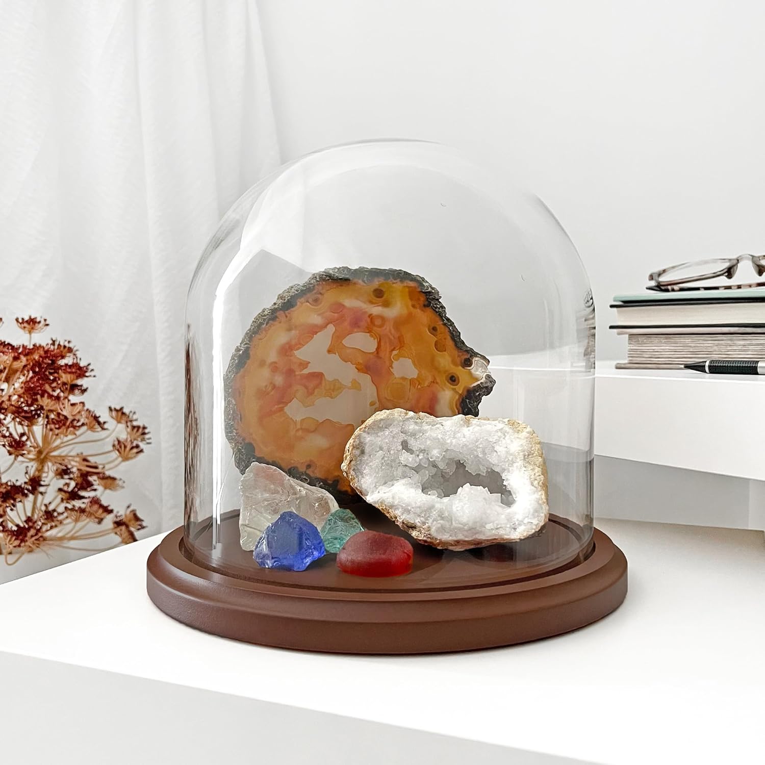 Plymor 8 inch x 8 inch Glass Display Dome Cloche (Dark Wood Base)