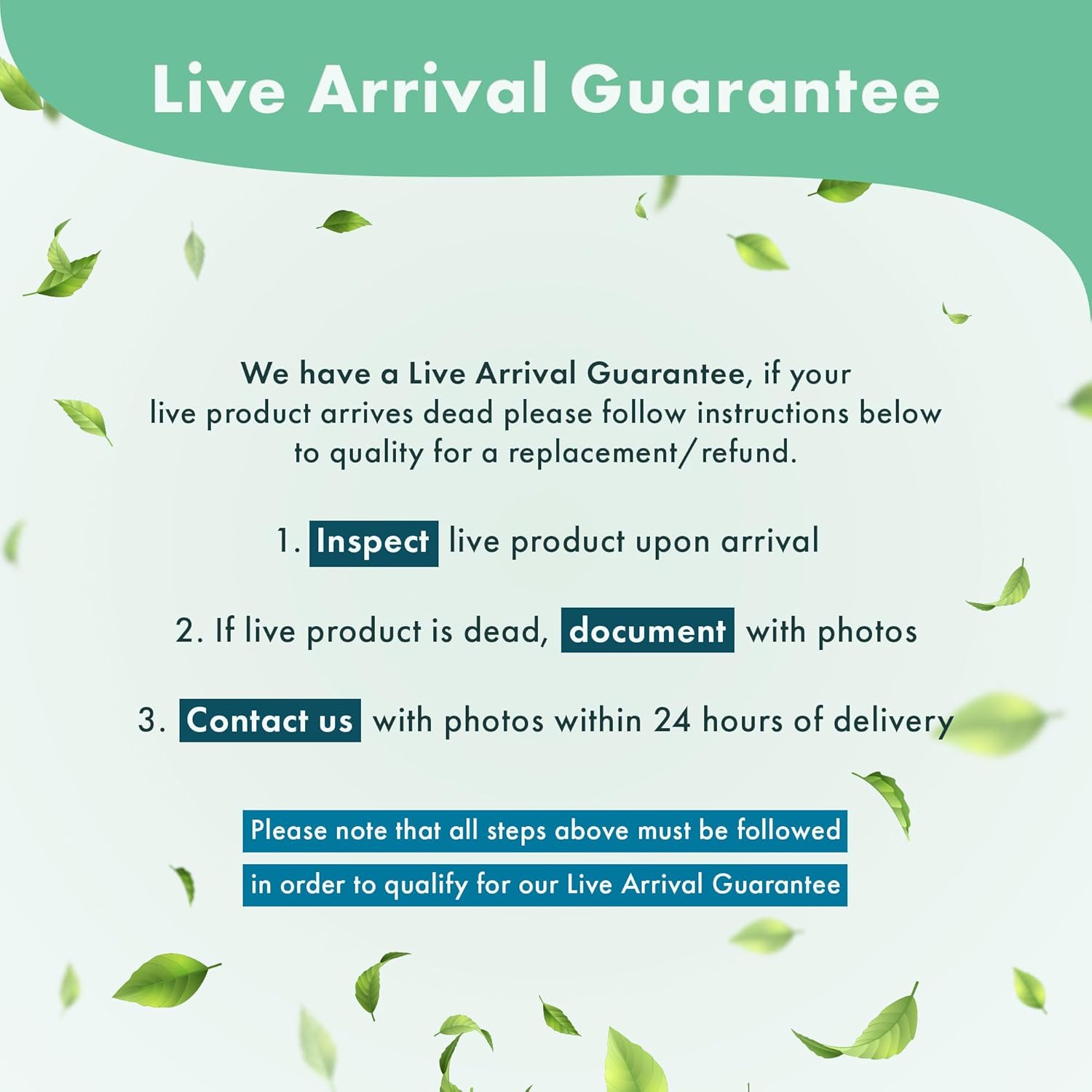 SubstrateSource Java Moss Live Aquarium Plant - Freshwater Fish Tank Decorations for Natural Decor (Large Cup)