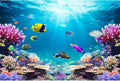 AWERT 30x12 inches Underwater World Fish Tank Background Undersea Theme Aquarium Background Polyester Colorful Coral Tropical Fish Tank Background