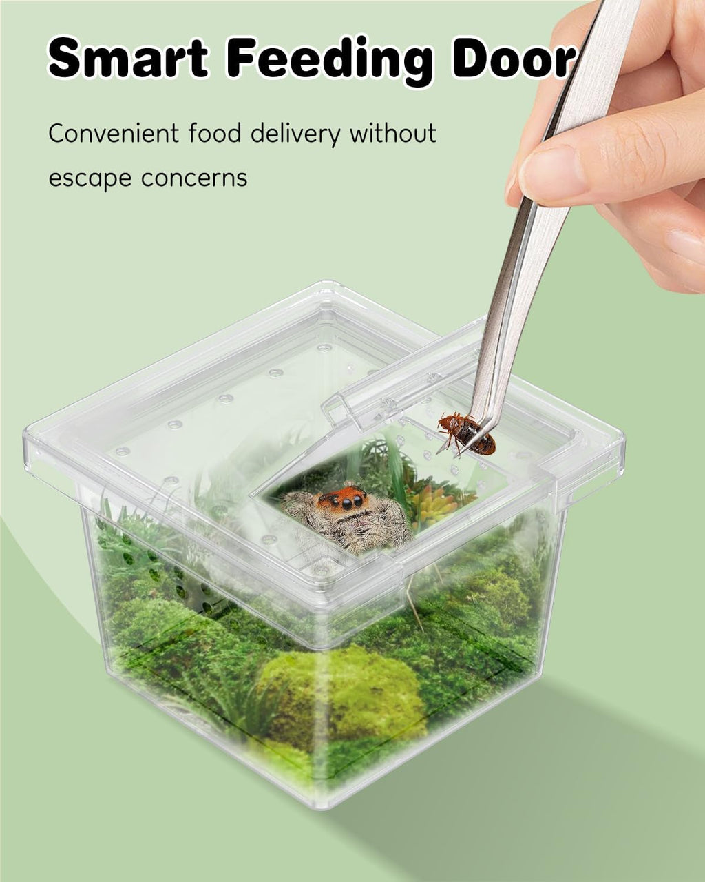Pawfly 20 Pcs Mini Spider Terrarium Breeding Box, Transparent Plastic Jumping Spider Enclosure Cricket Keeper Tarantula Enclosure, Small Reptile Hatching Container for Scorpion Centipede Gecko Mantis