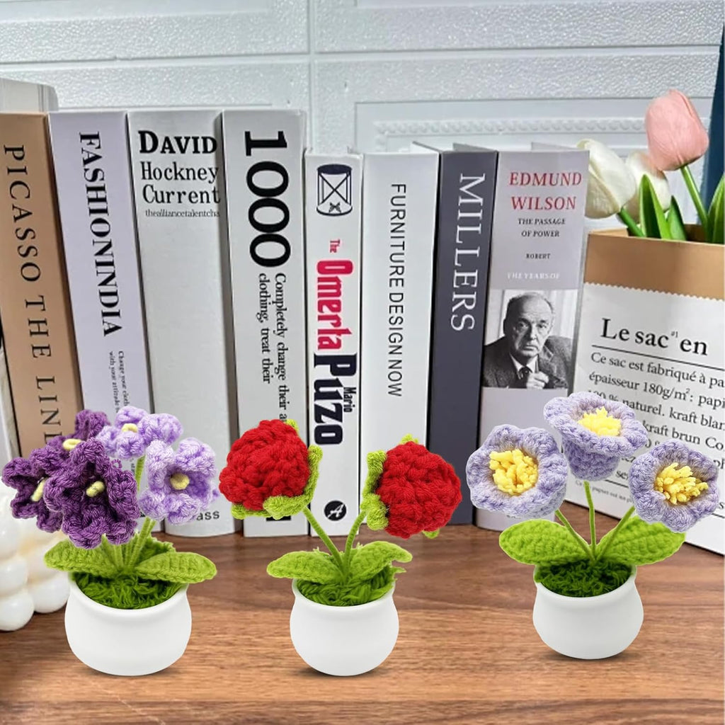 3pcs Crochet Flowers Cute Potted Flower,Mini Flower Bouquet for Mom Wife, Cute Desk Decor for Women,Artificial Handmade Flowers for Car Dashboard,Home Office Decoration (Color#2)