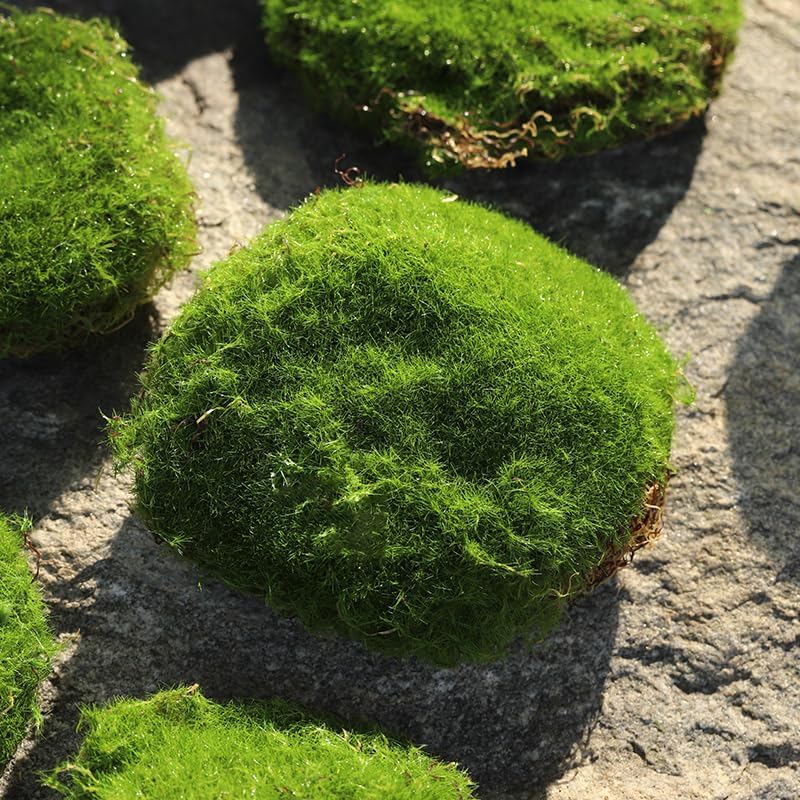 Artificial Moss Blocks for Garden Decoration, 6-Piece Set, Green Decorative Moss Stones Suitable for Ecological Tanks, elf Gardens(Realistic Green Faux) Fake Moss