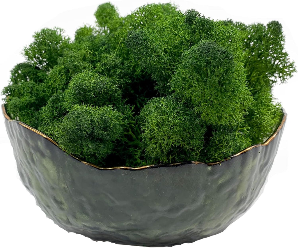 Moss Preserved Moss for Potted Plants Natural Fresh Green Reindeer Moss for Craft Arts Floral Wall Decor Decor Wedding Centerpieces Garden Artificial Terrariums Decoration for Christmas(Green) 3.5OZ