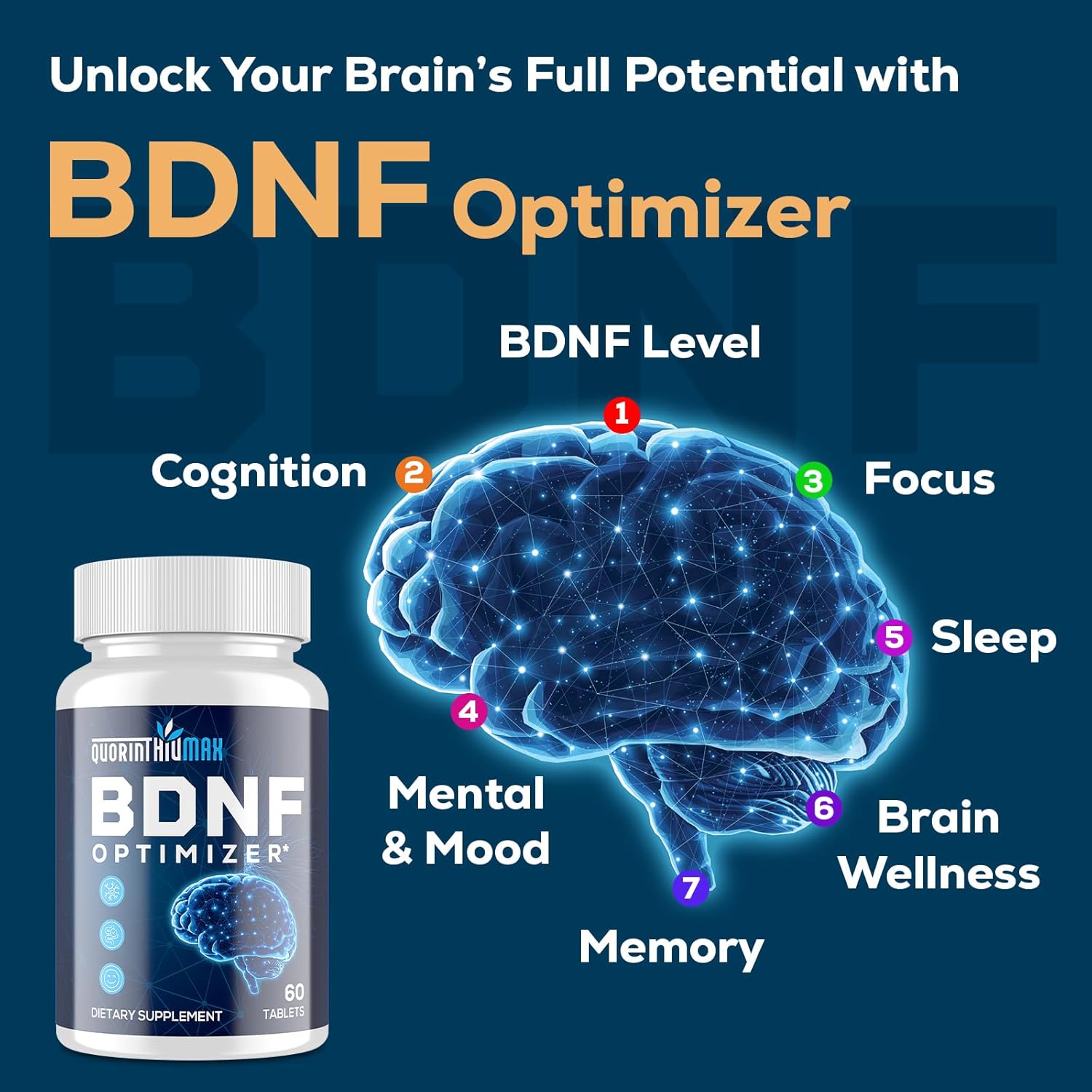 Nootropic Brain Supplement for Memory and Focus – BDNF Optimizer – Cognitive, Mental Clarity & Mood – High Absorption – Organic Lion's Mane, L-Theanine, Ginkgo Biloba & Alpha GPC–60 Tablets (2 Bottle)