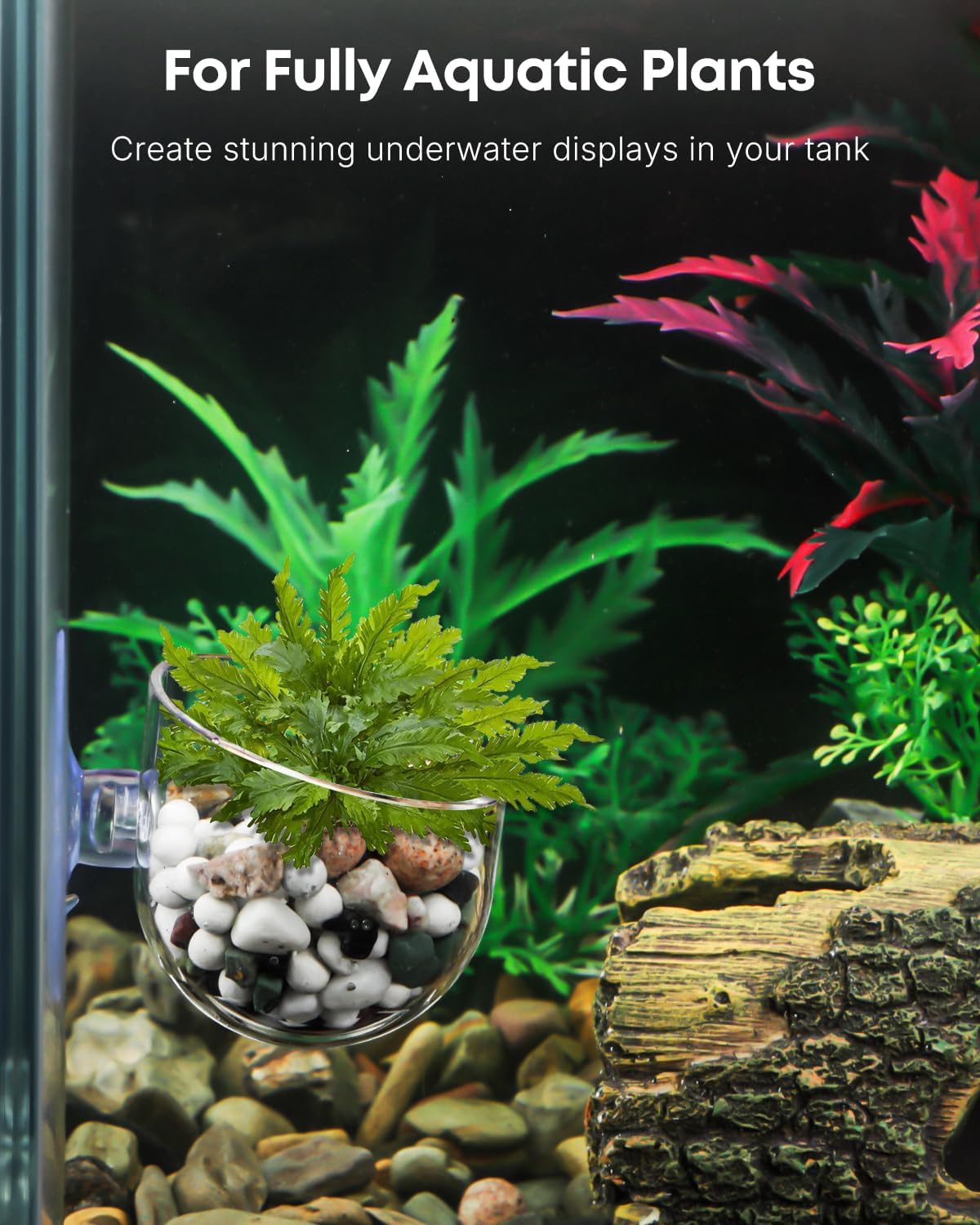 Pawfly 2 Pcs Aquarium Plant Holder, Fish Tank Plant Pot for Aquascape Decoration, Red Worm Fish Feeder, Aquarium Planter Cup with Suction Cup, Clear.