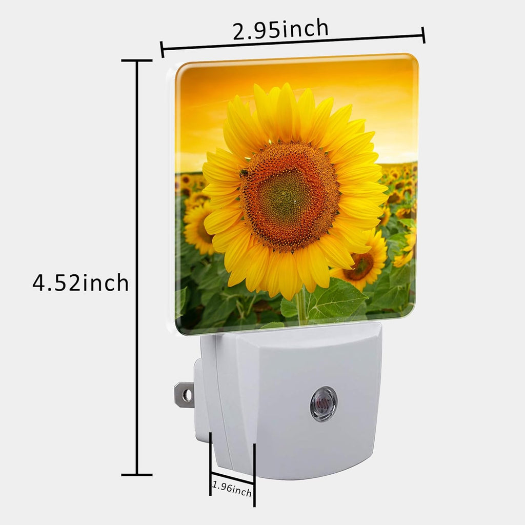 Plug in Night Lights Sunset Sunflower Field Nightlight Plug Into Wall Dusk to Dawn Sensor LED Night Light for Kid Girls Boys Women Men Room Decor, Hallway, Kitchen, Bathroom, Nursery, Stairs