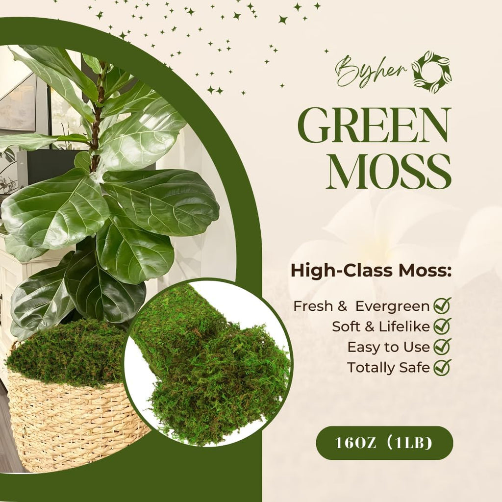 BYHER Fake Moss for Plants Indoor, 16OZ Green Moss for Crafts, Artificial Moss for Faux Plant Fairy Garden Table Centerpieces Wedding Decor,1LBS Fresh Green Craft Moss
