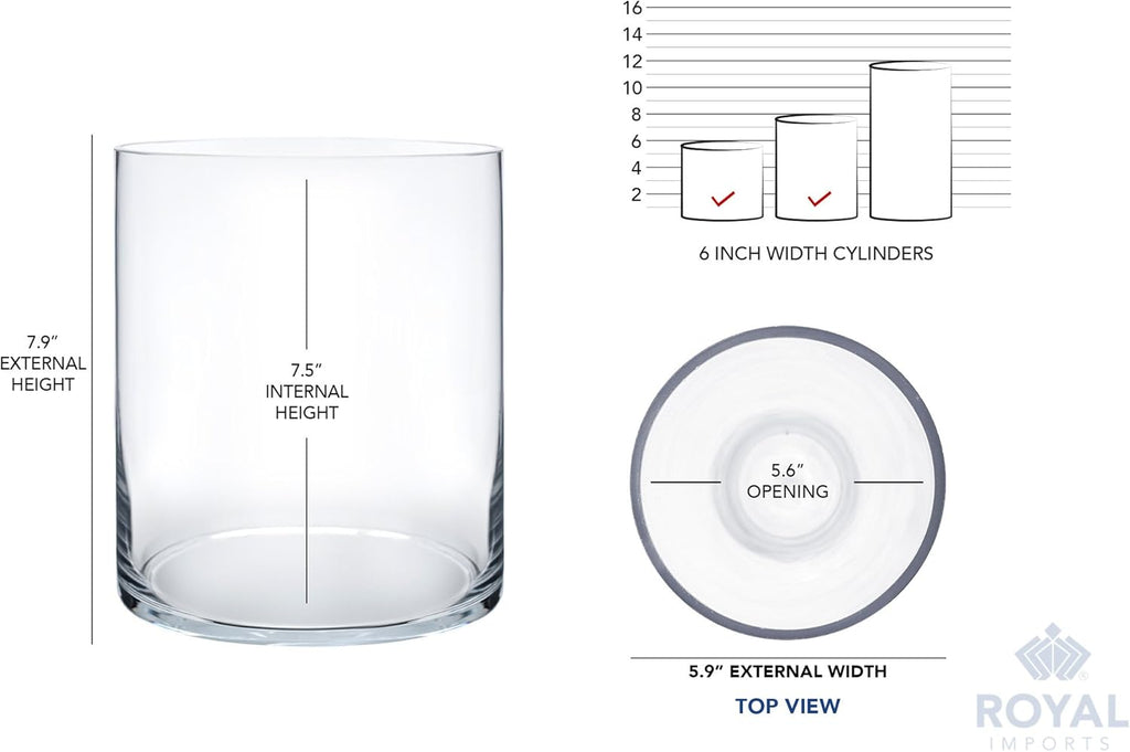 Royal Imports Flower Glass Vase Decorative Centerpiece for Home or Wedding - Cylinder Shape, 8" Tall, 6" Opening, Clear