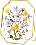 Glass Pressed Flower Frame, Handmade Metal Floating Frame, Double Glass for Tabletop Display - Unique Brass Octagon, Gold, 8x10 inches