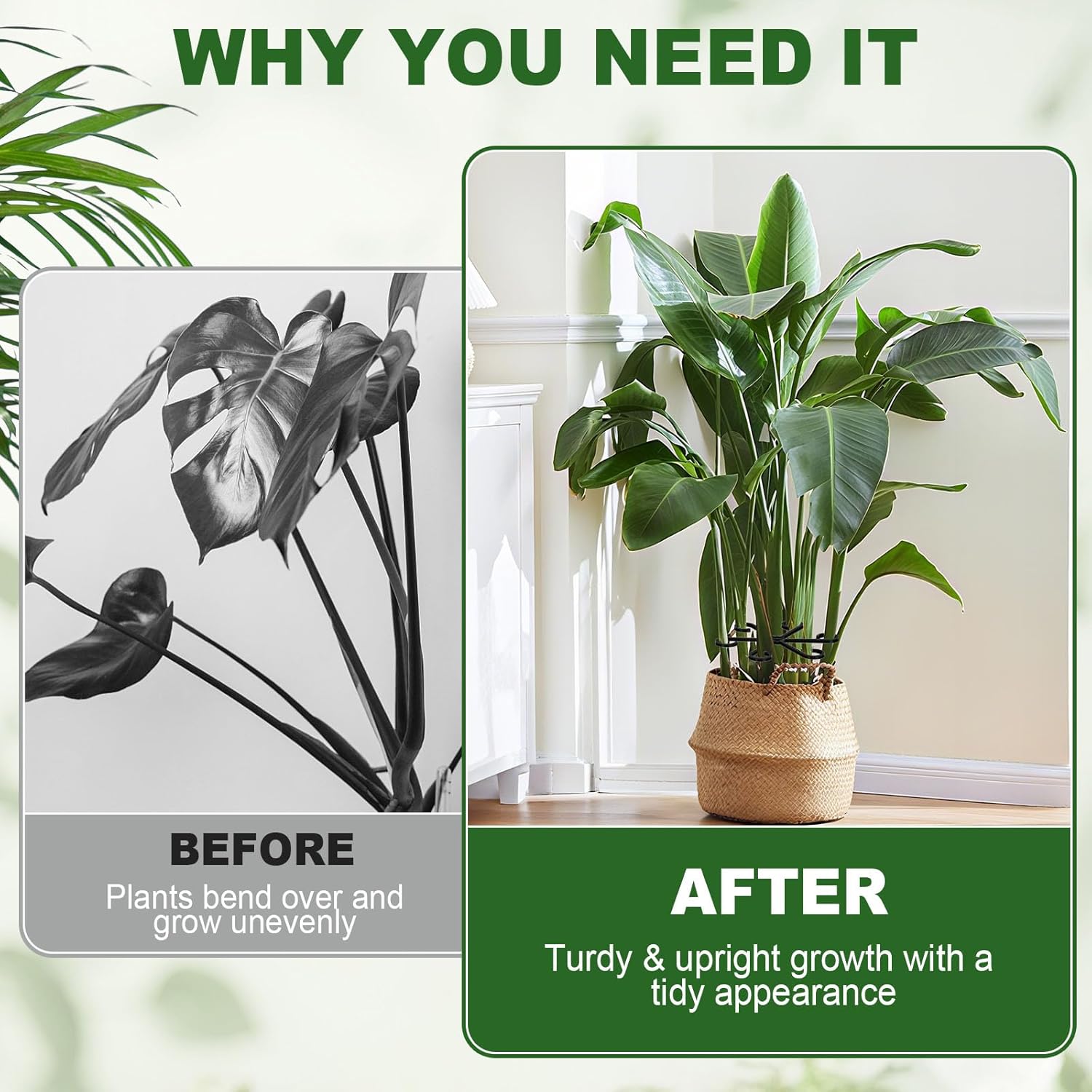 16pcs Plant Stem Support, Plant Support for Indoor Plants, 4 Sizes Climbing Houseplant Stem Holders, Reusable Plant Stabilizer, Indoor Plants Accessories