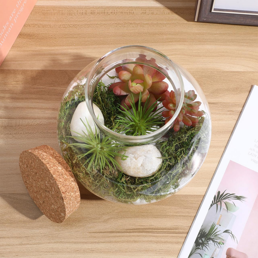 YARNOW Glass Terrarium Jar with Cork Lid, Round Transparent Micro Landscape Bottle for Moss, Succulents, and Home Decor, 5.5 Inch