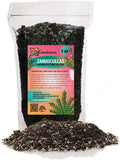 GARDENERA Zamioculcas Plant Potting Soil - Enhance Elegance and Health with Professional Grade Nutrient-Rich Mix - 3 Quart